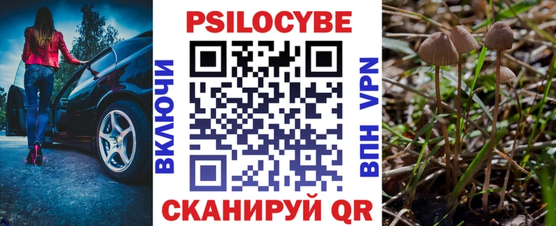 даркнет сайт  omg как зайти  Псилоцибиновые грибы Psilocybine cubensis  Красногорск 