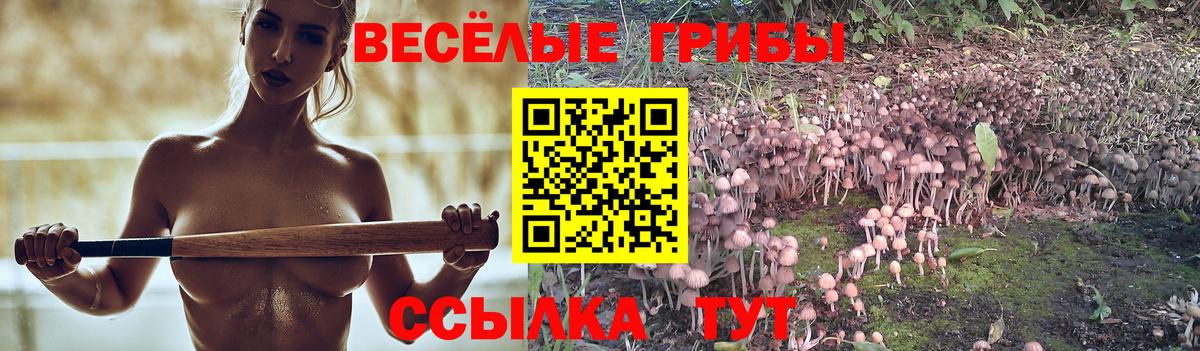 Галлюциногенные грибы ЛСД  Вход с VPN  Красногорск 
